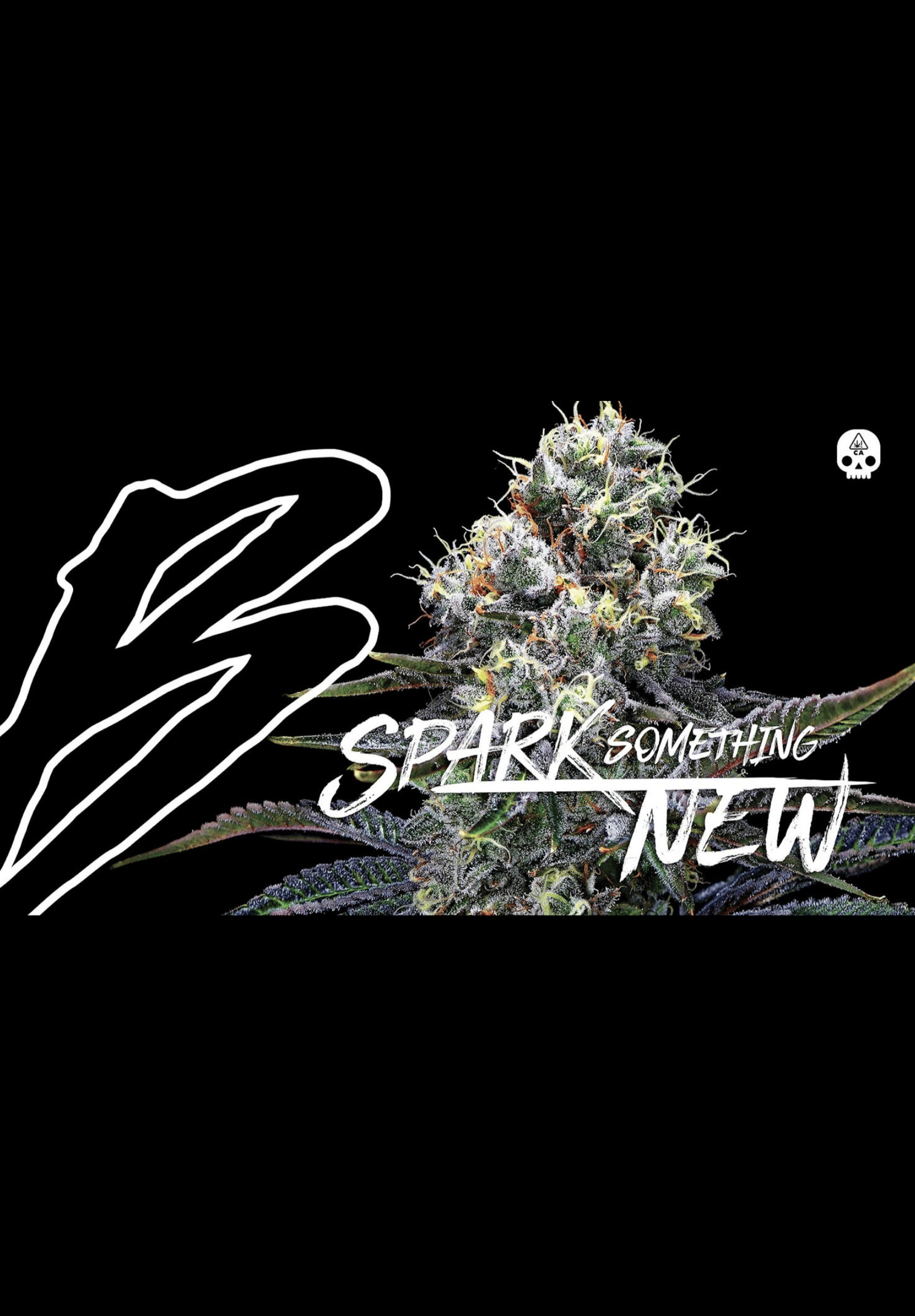 Z-PIE 3.5G FLOWER JAR - BOSKY -  - $37.50 - Flowers