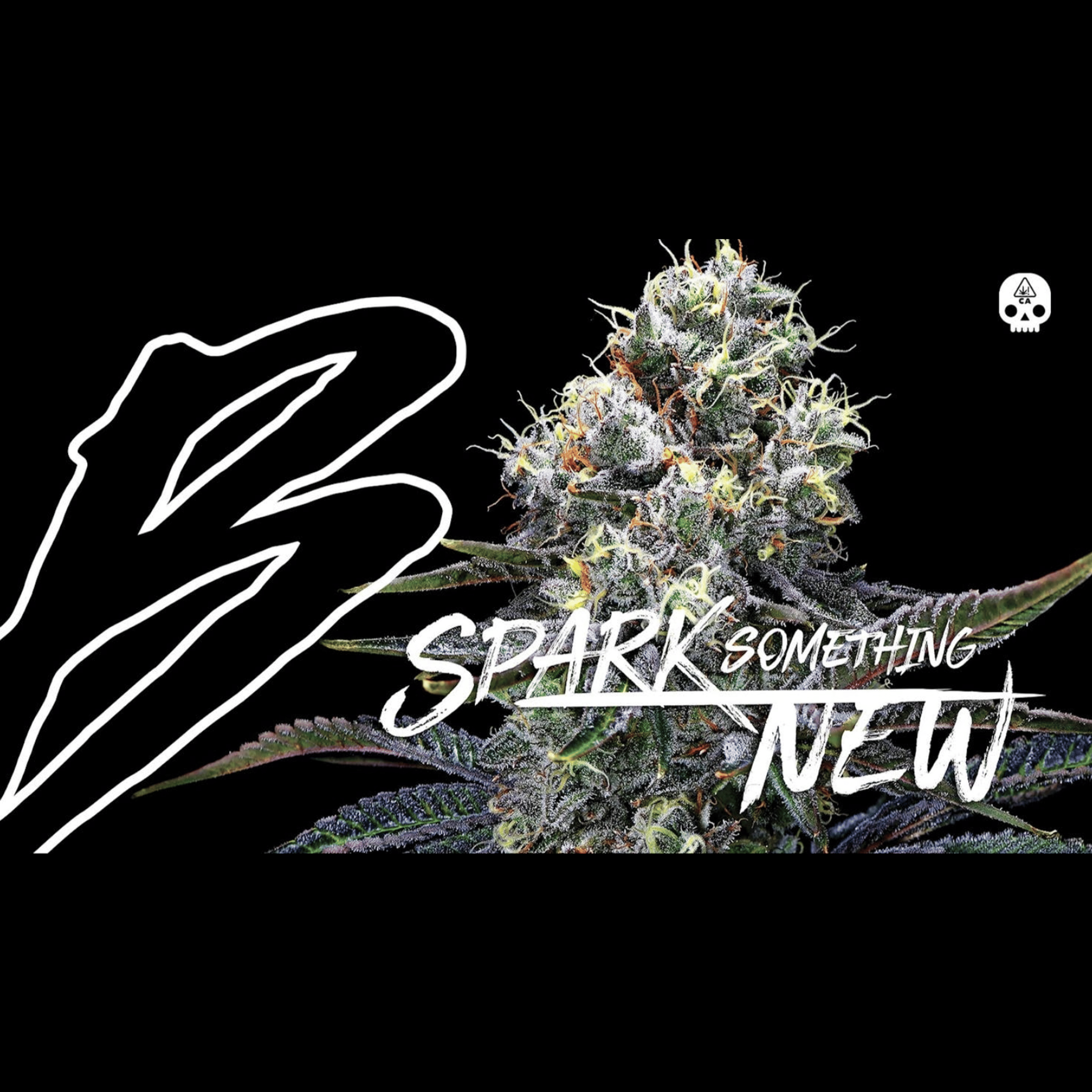 SOAP X ODDER POPZ 14G - BOSKY - - $86.75 - Flowers