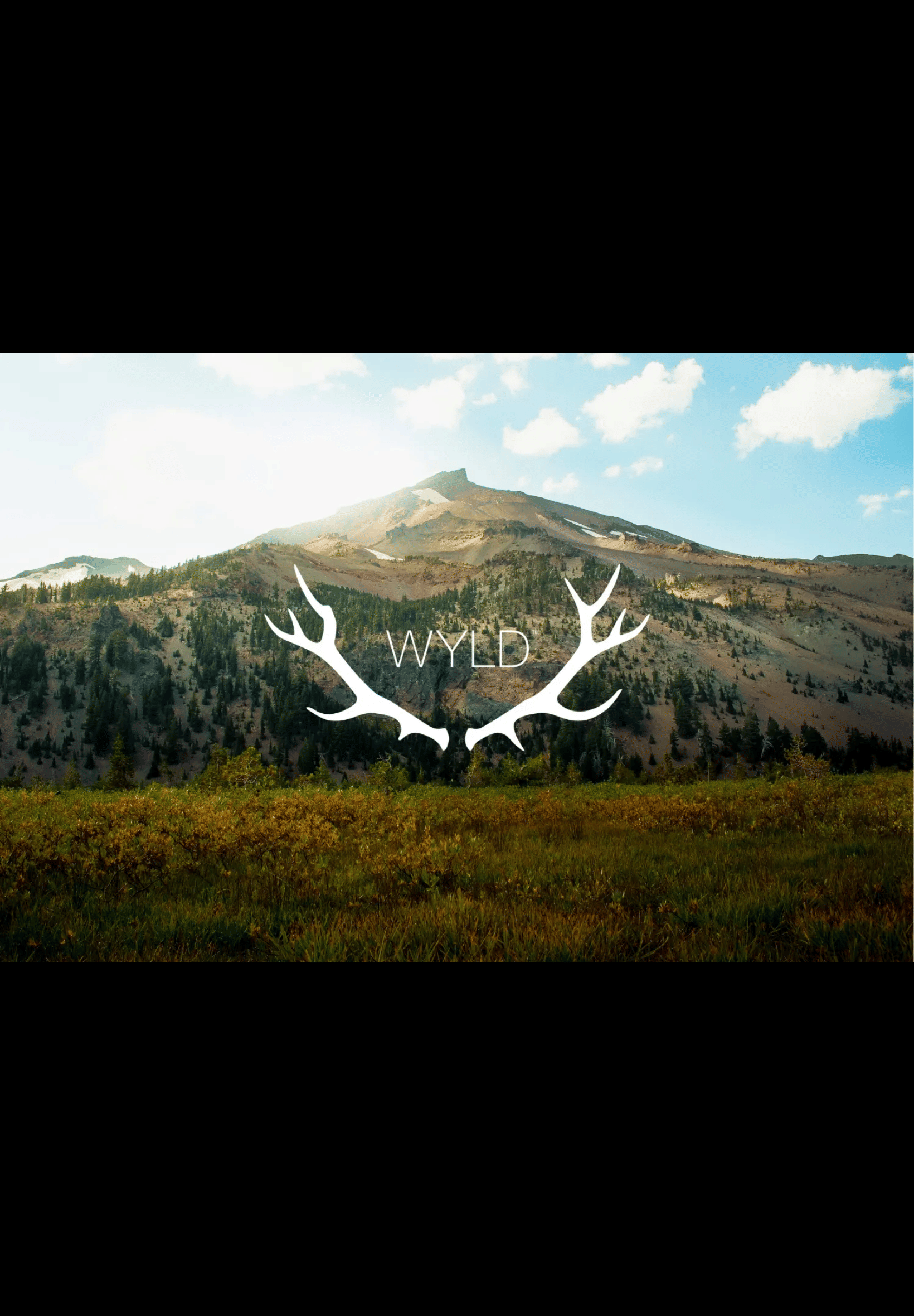 SOUR TANGERINE 100MG - WYLD -  - $15.50 - Edibles