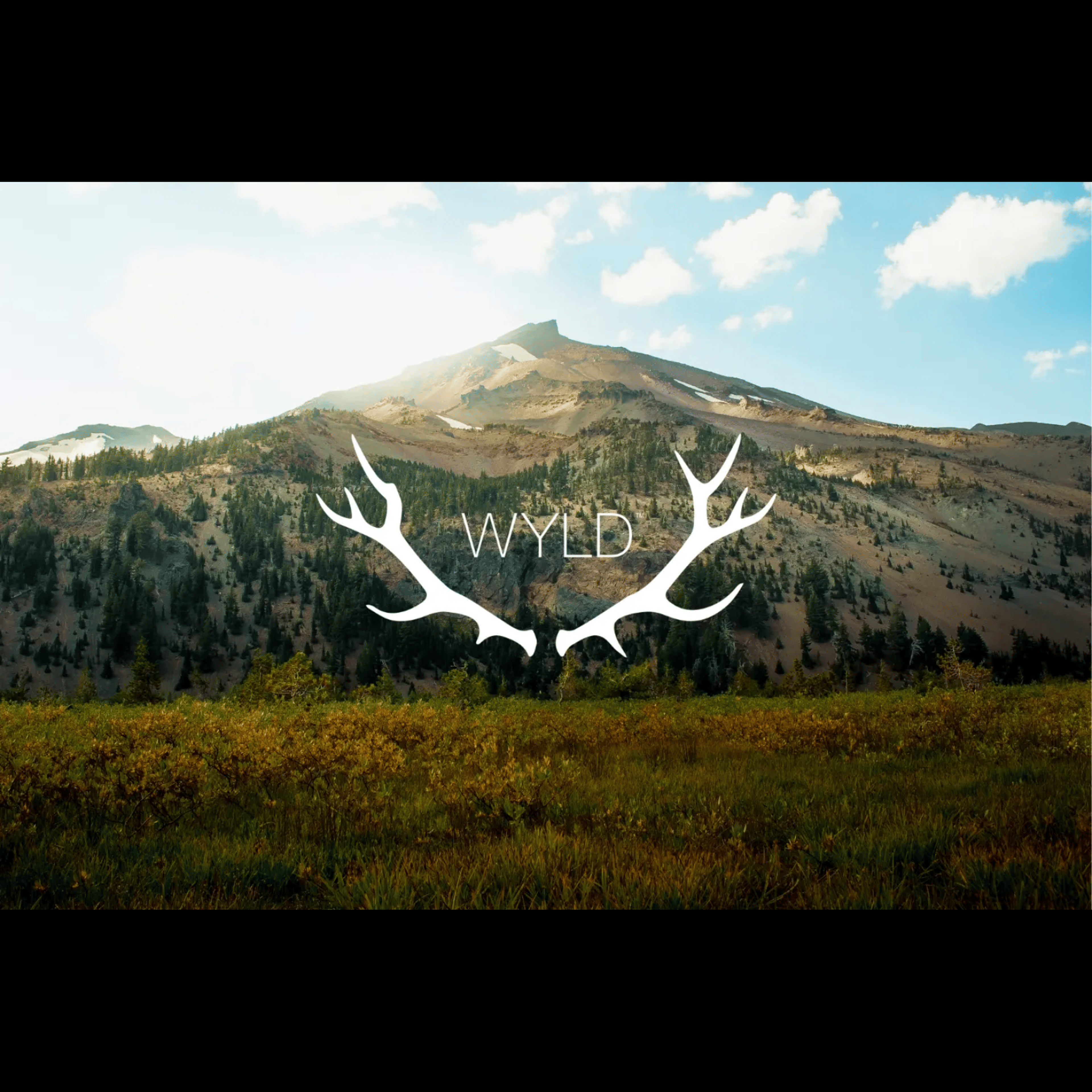 SOUR TANGERINE 100MG - WYLD - - $15.50 - Edibles