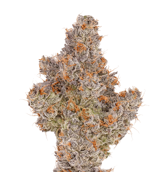 Fig Farms: Trixxx