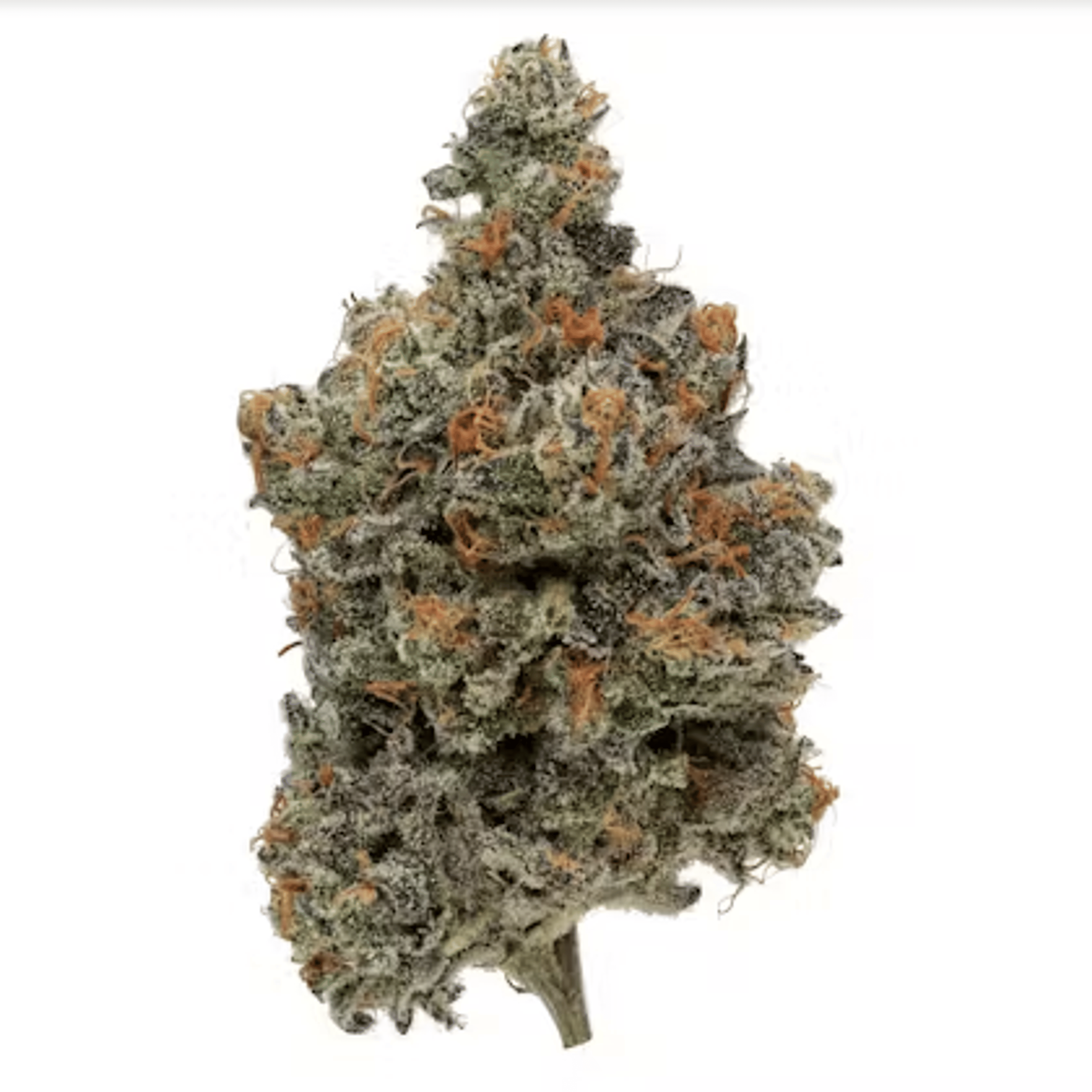 Lucid Blue - Jar - Indoor Flower - Fig Farms - Eighth - $49.99 - Flower