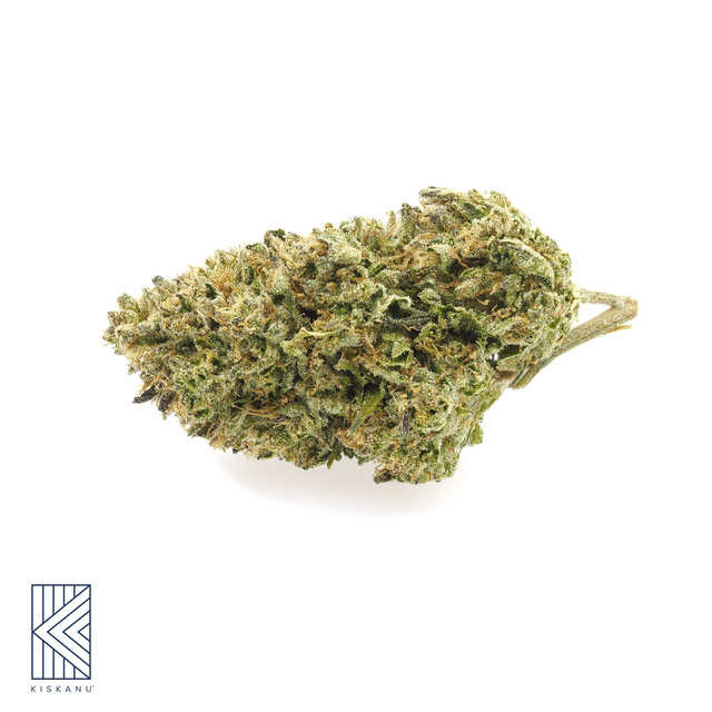 Kiskanu: Lemon Cherry Sherbert Select