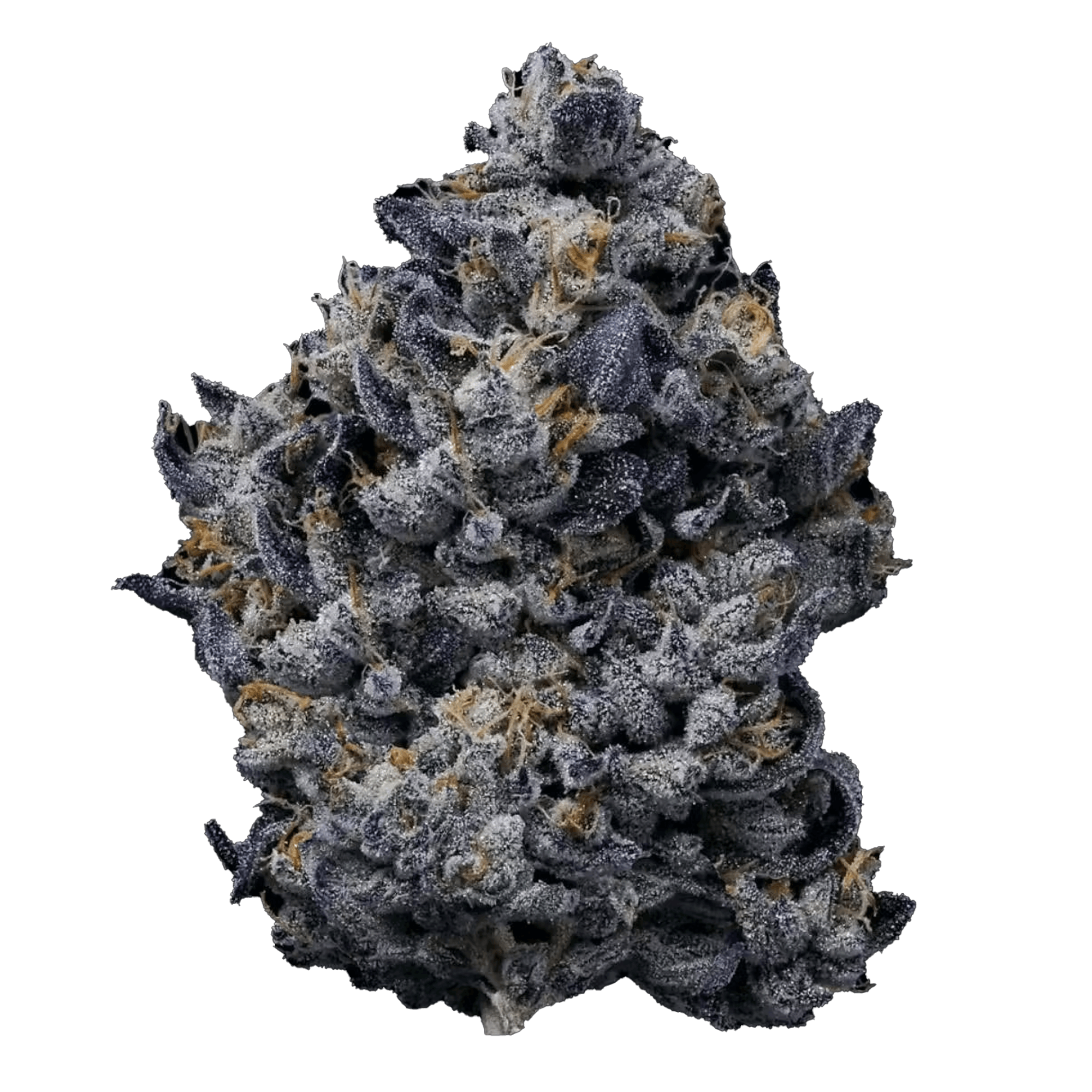 Lemon Cherry Gelato - Jar - Indoor Flower - Fig Farms - Eighth - $49.99 - Flower