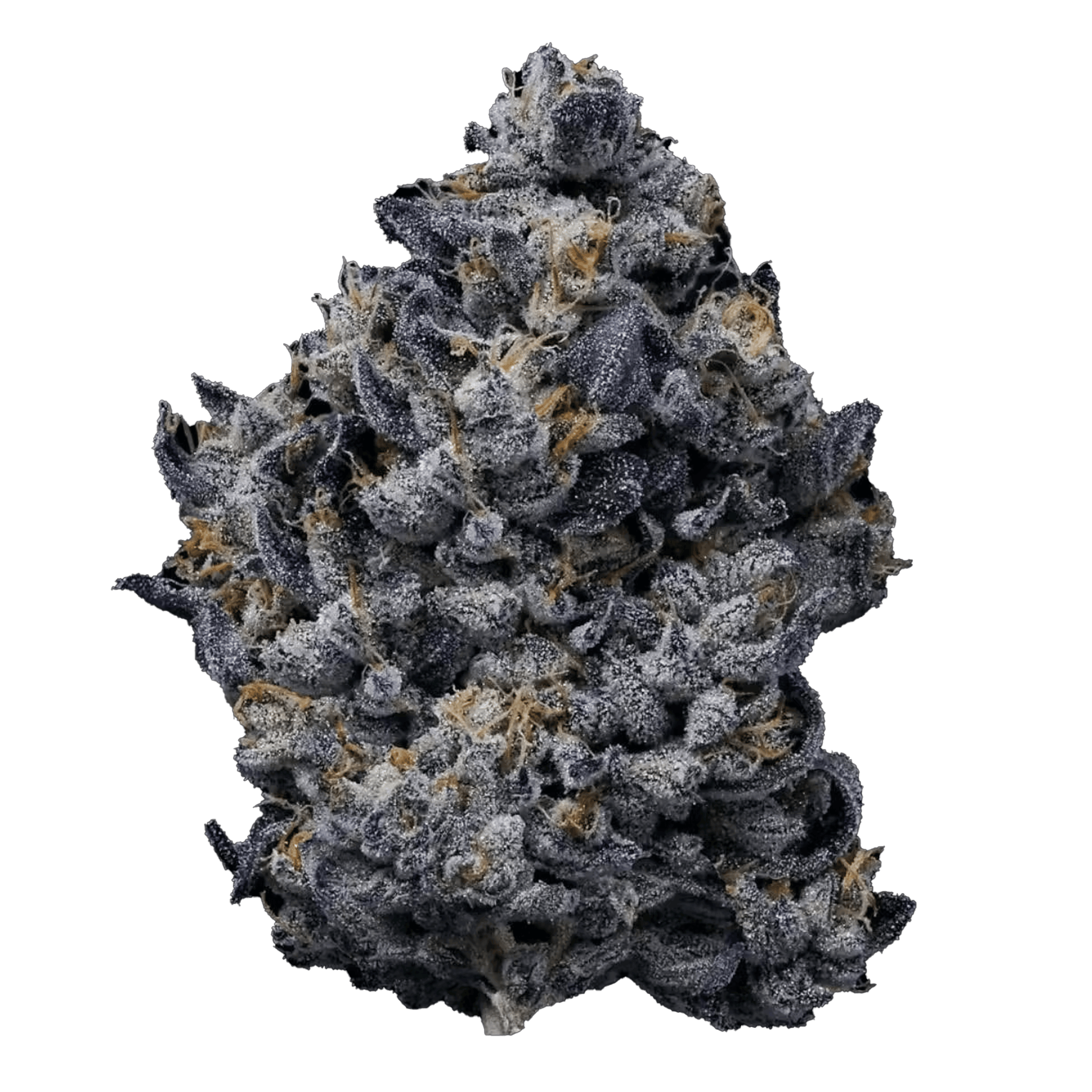 Lemon Cherry Gelato - Jar - Indoor Flower - Fig Farms - Eighth - $49.99 - Flower