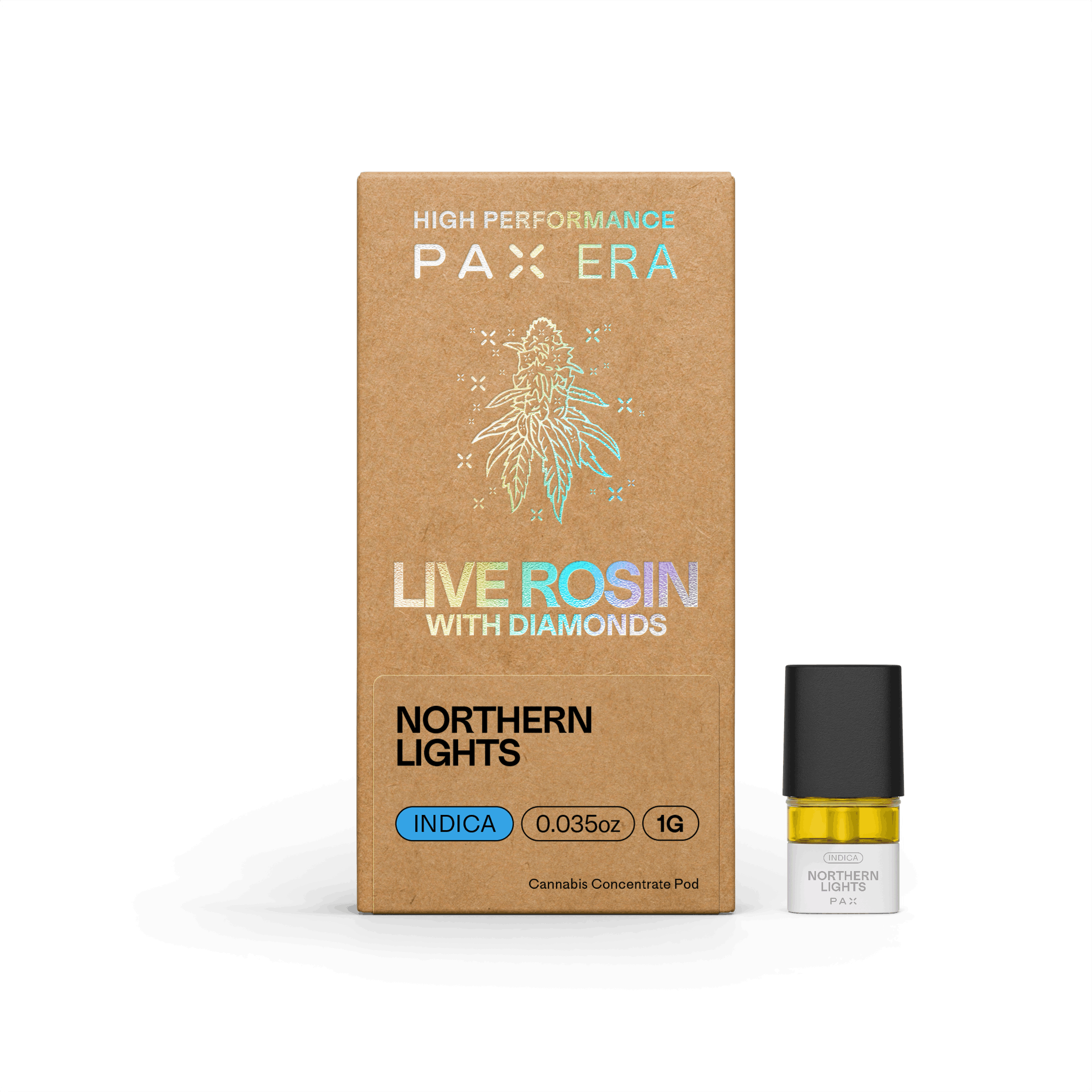 PAX: Northern Lights With