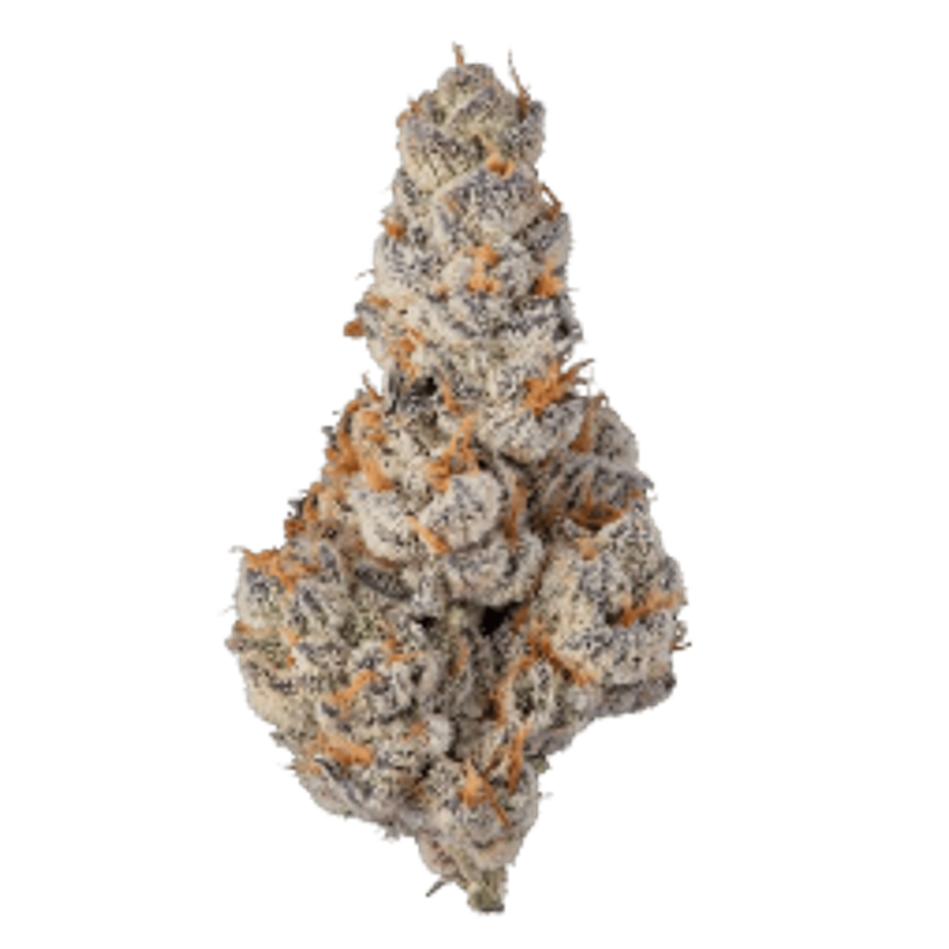 El Chivo #5 - Jar - Indoor Flower - Sense - Eighth - $49.99 - Flower