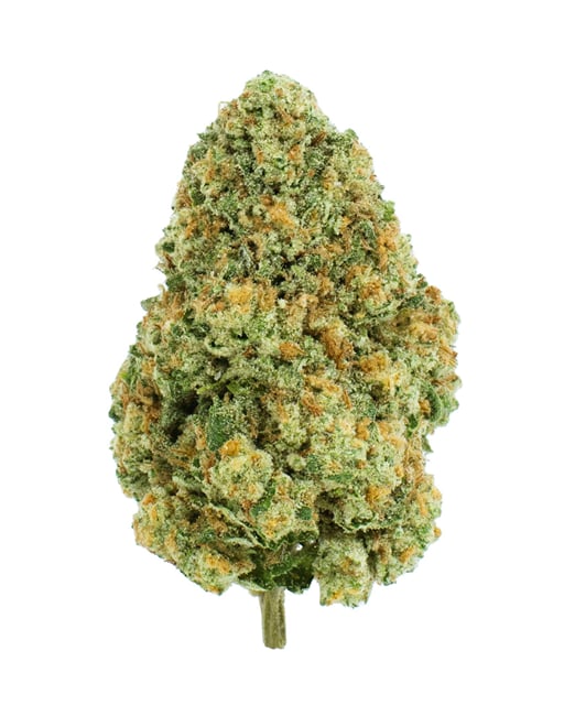 Macaroon #1 | 3.5g Flower