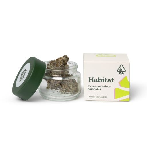 Green Habitat: Space Lemonade