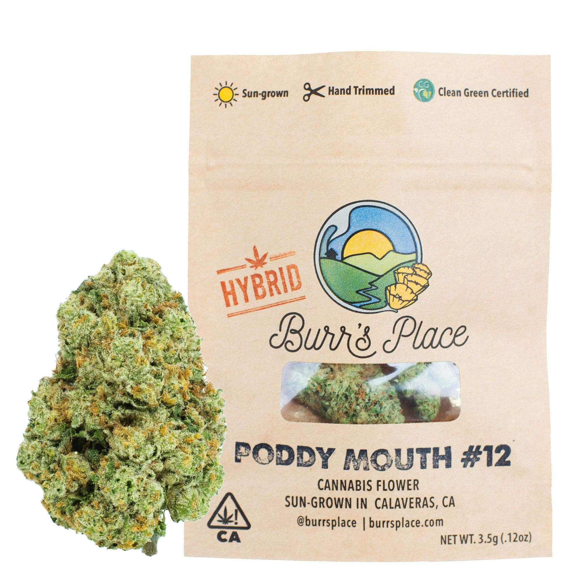 PODDY MOUTH 3.5G - BURR'S PLACE -  - $10.75 - Flower