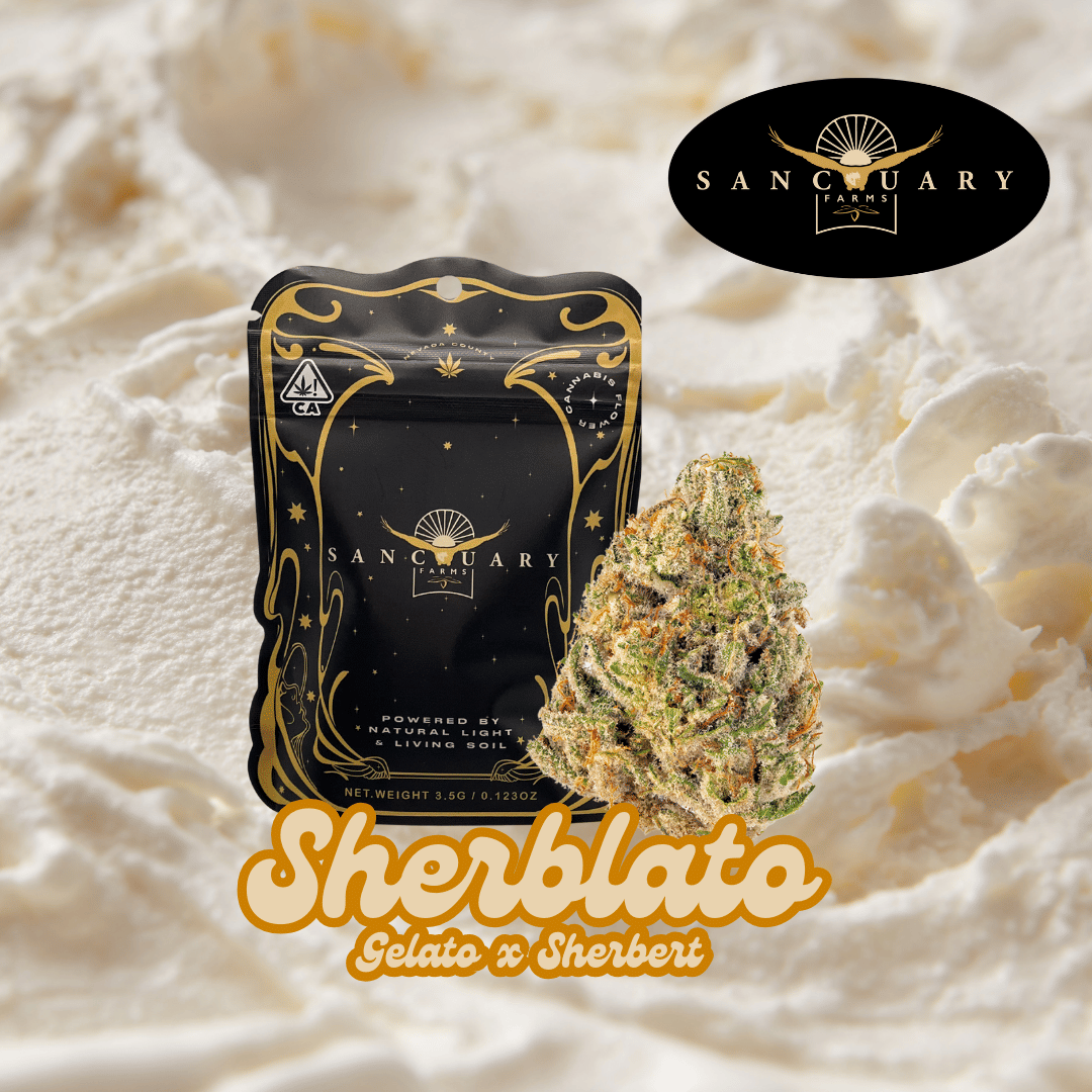 Sanctuary Farms: Sherblato - Hybrid - 3.5g - Flower