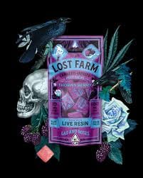 Kiva — Black Raspberry X Northern Lights Los Farm