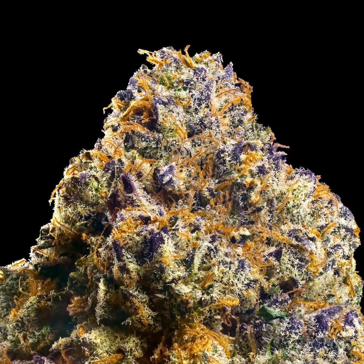SOUR SANGRIA 3.5G - MAVEN GENETICS -  - $38.75 - Flowers