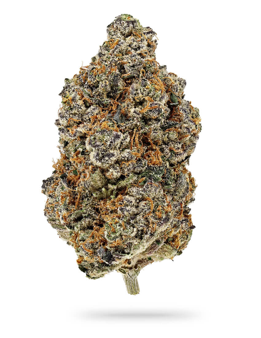 High Grade Farms: Paris Cake