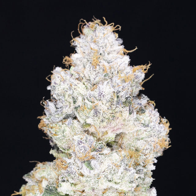 JAH Diesel ⛽️ (Half-baked cookies)