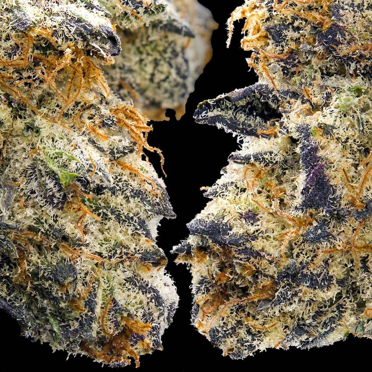 SOUR SANGRIA 3.5G - MAVEN GENETICS -  - $38.75 - Flowers