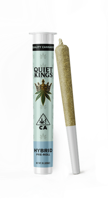 Quiet Kings: Cherry Gelato