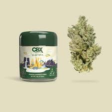 Gluetopia | CBX [3.5G] - Cannabiotix -  - $50 - Flower
