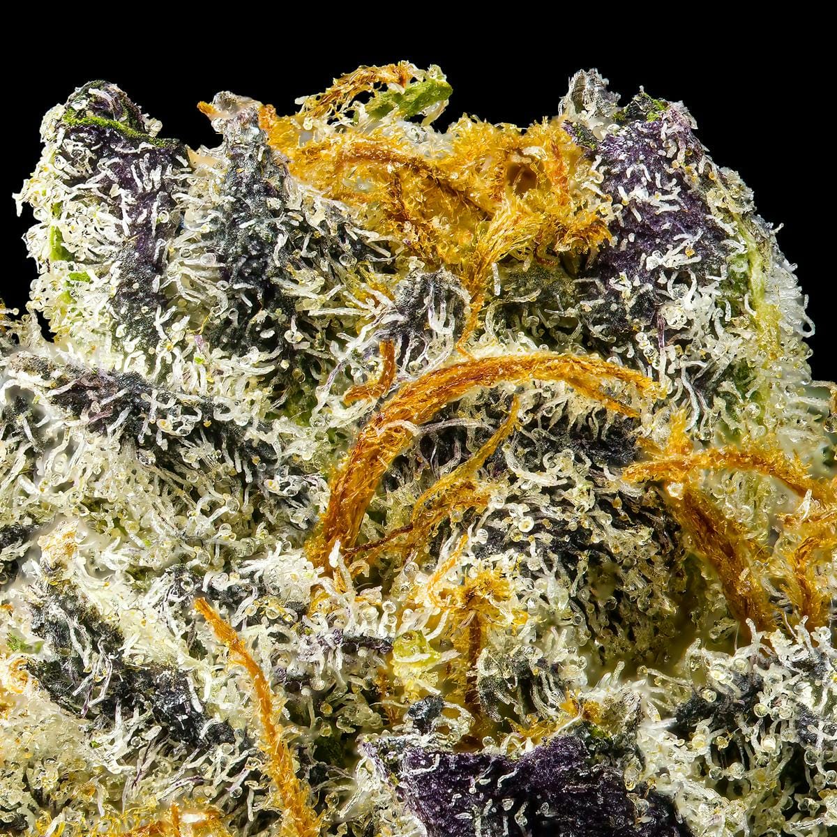 SOUR SANGRIA 3.5G - MAVEN GENETICS -  - $38.75 - Flowers