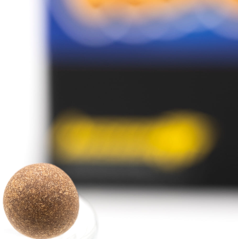 Biscotti: Fatso Temple Ball