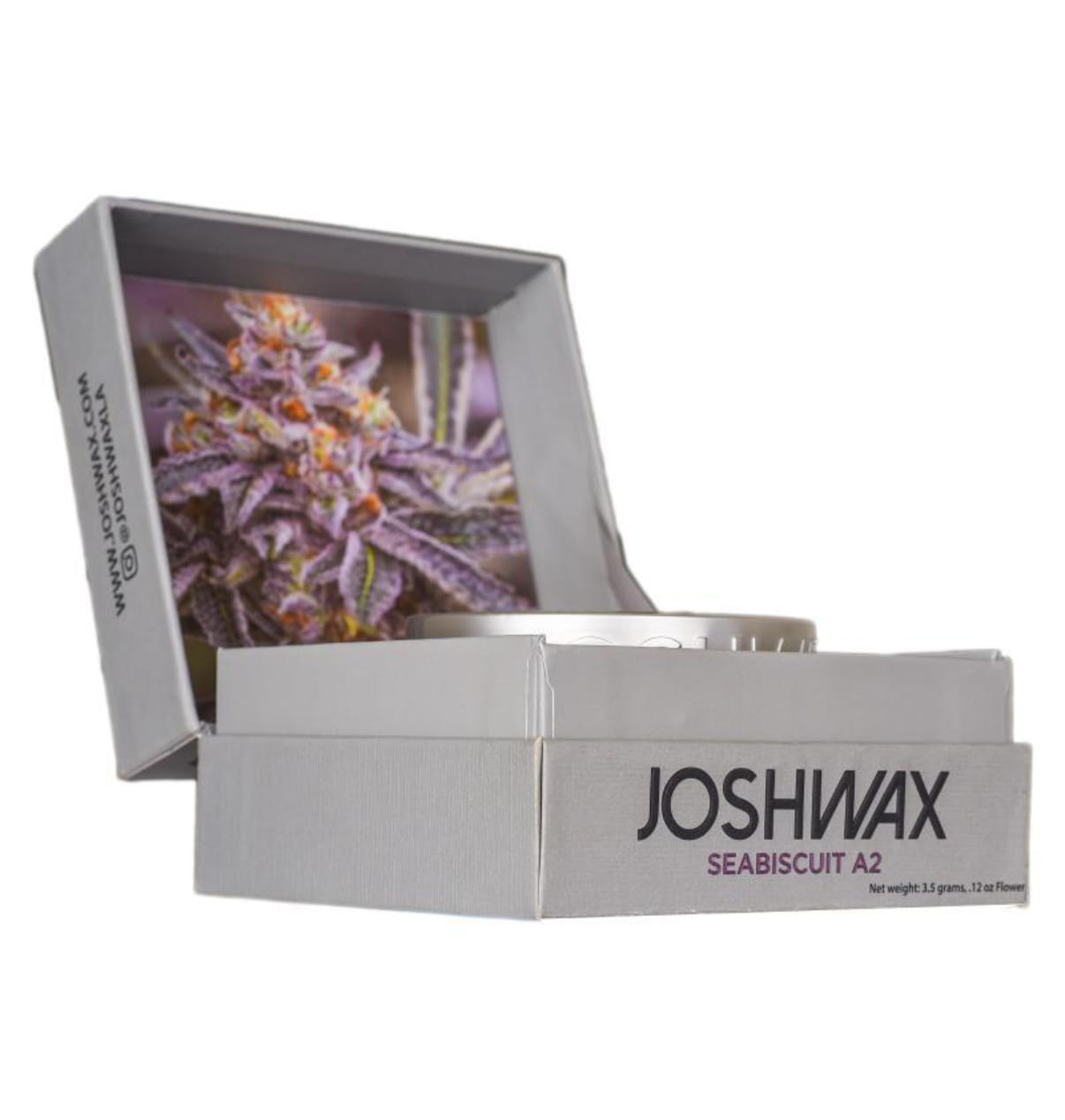 Josh Wax — Sea Biscuit