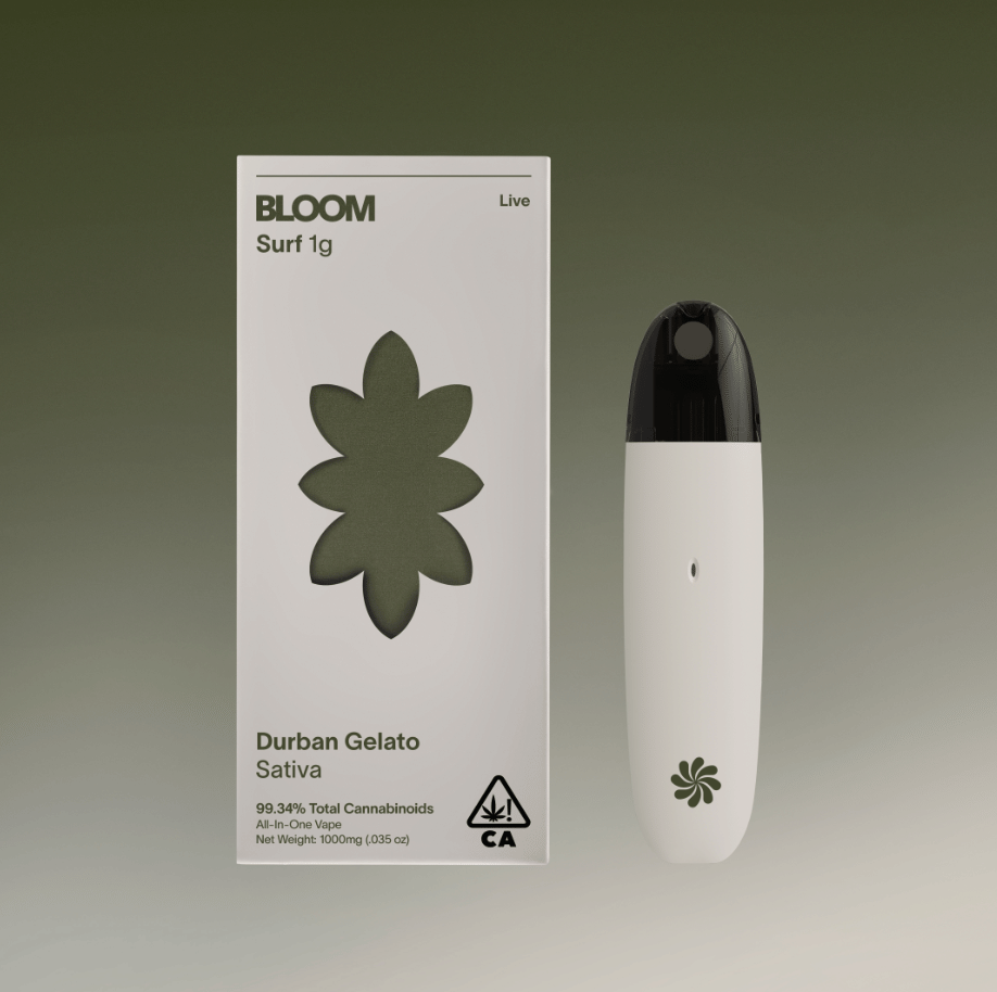 The Bloom Brand: Durban Gelato Live Surf