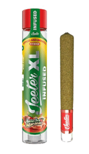 Apples and Bananas 2G XL Infused Preroll
