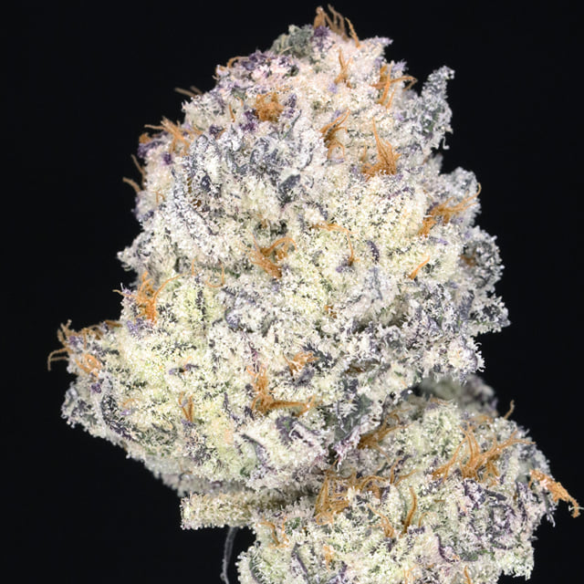 Cookies & Cream 🍪🍮 (Oreoz x Kushmints)