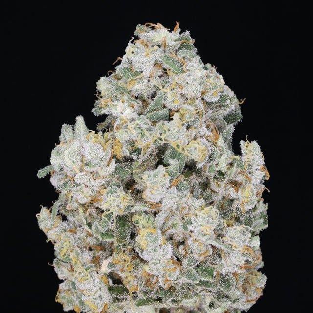 Trainwreck 🚃