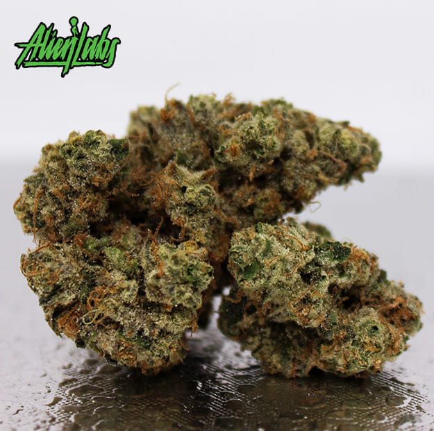 Alien Labs - Atomic Apple - 3.5g - Alien Labs - Atomic Apple - $49.99 - Indoor Flowers