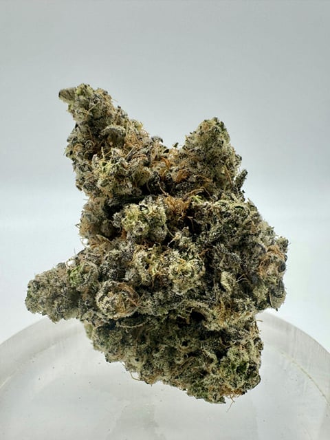 LA Pop Rockz - Exotic Indoor Flower - 14g