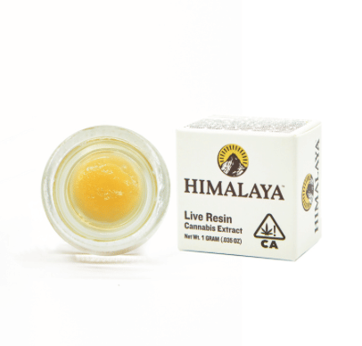 Himalaya: Wakanda Terp