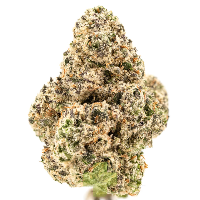 Cookies — Black Cherry Gelato