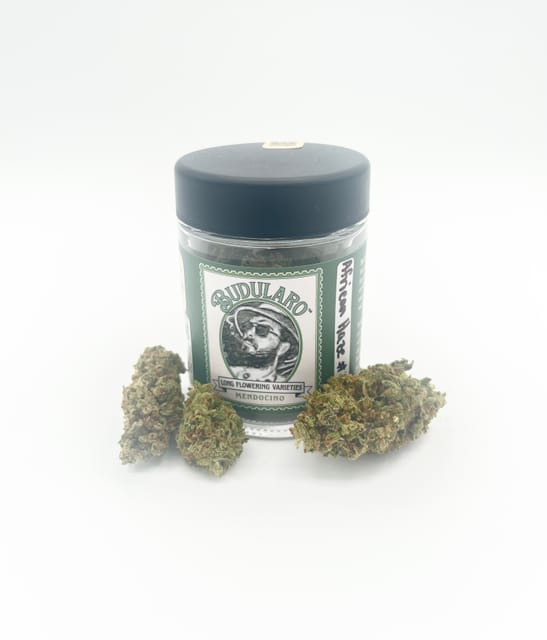 Budularo: African Haze #11