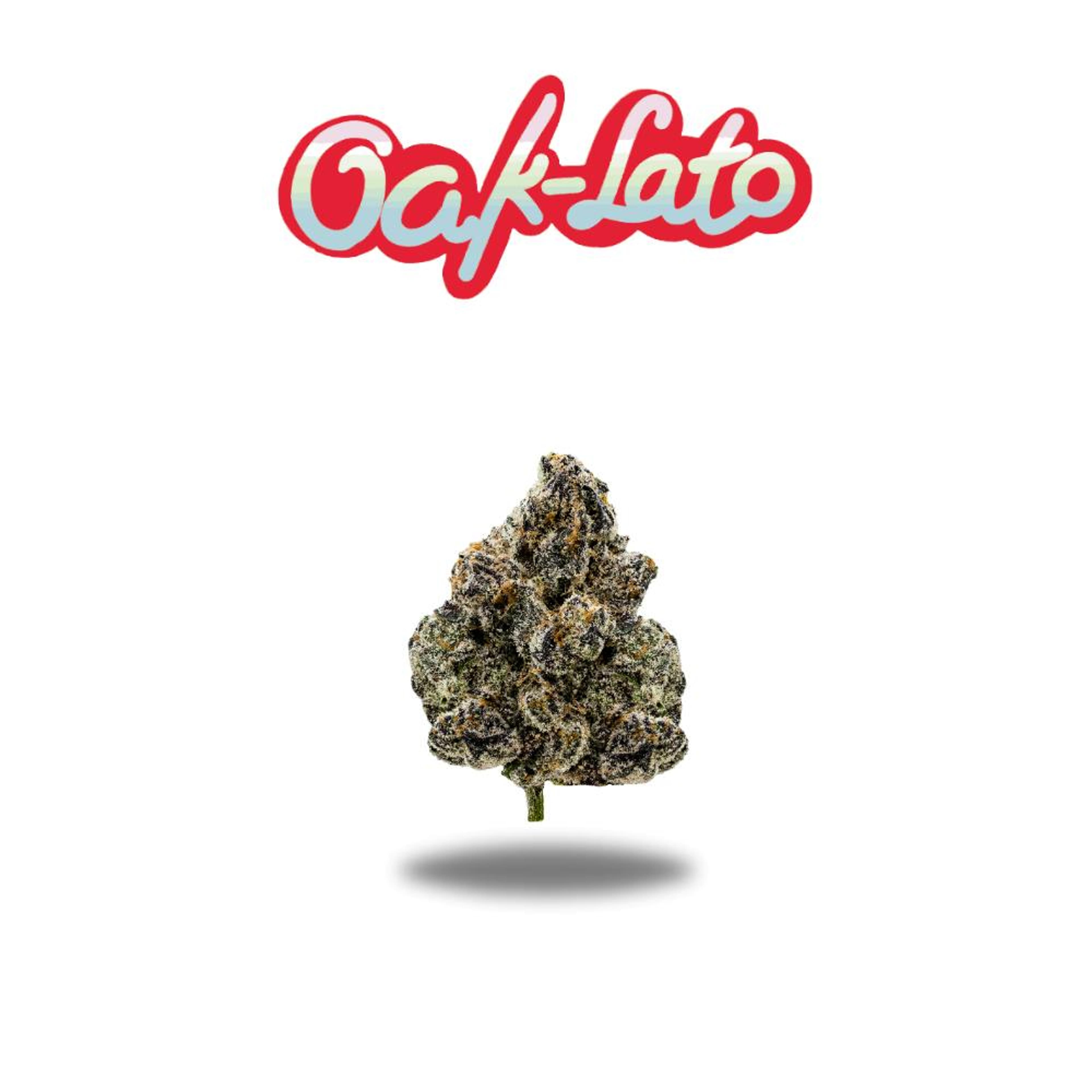Oak-Lato Premium Flower 3.5g - Core Series - Oakfruitland - - $25.93 - Flowers