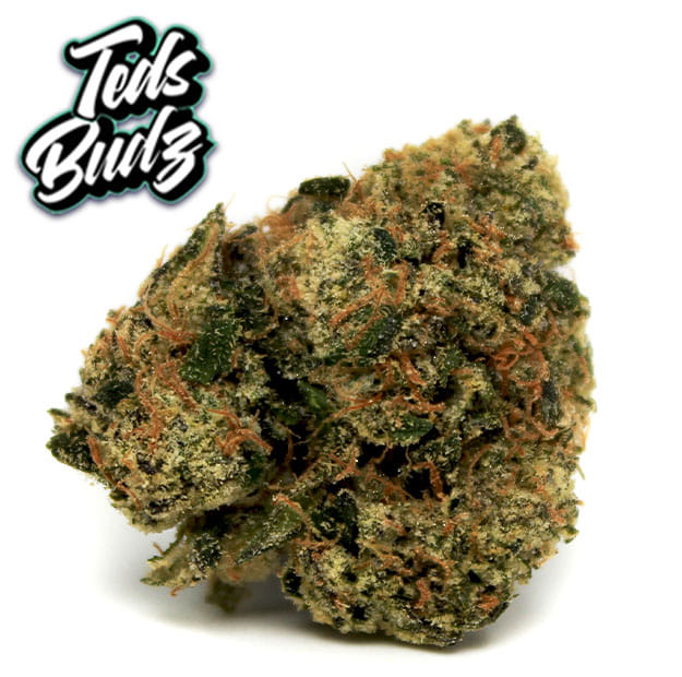 Teds Budz - Turducken - 3.5g - Teds Budz -  - $59.99 - Exotic Genetics