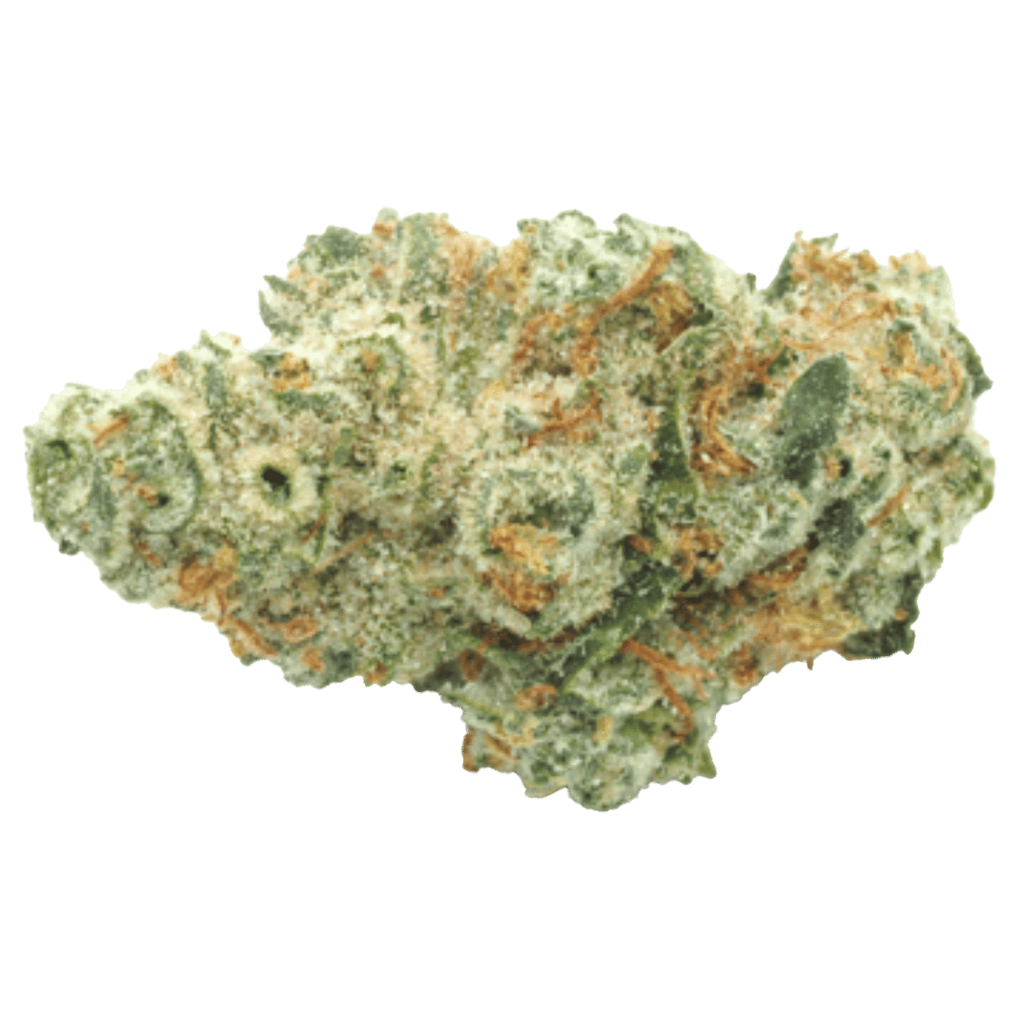 G13 - Jar - Indoor Flower - Daze Off Powered by UpNorth - Eighth - $34.99 - Flower