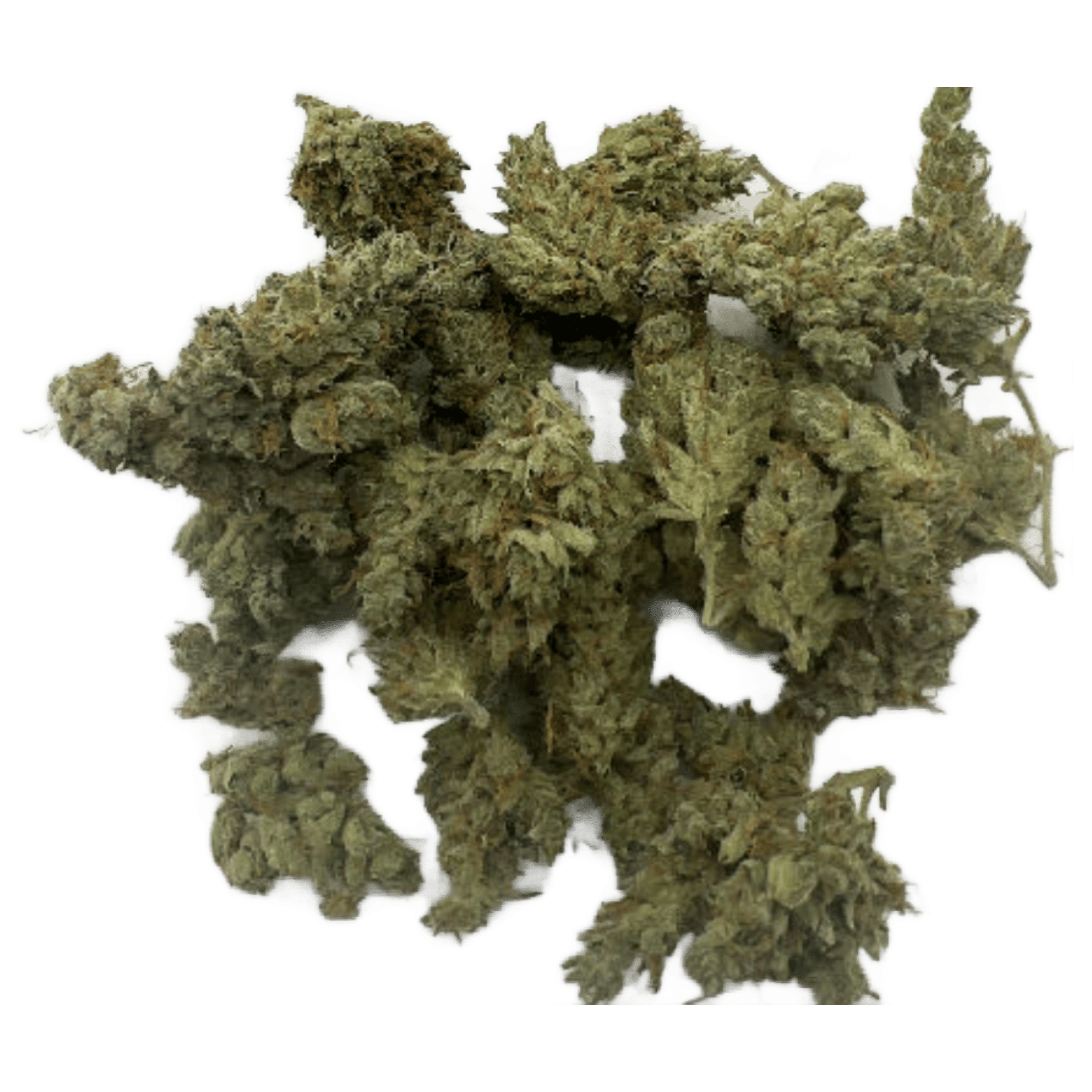 Master Kush - Flower - Heirbloom Legacy Flower - Eighth - $49.99 - Flower