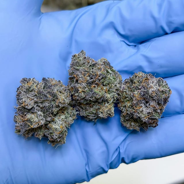 Mad Dog 64 l 3.5g