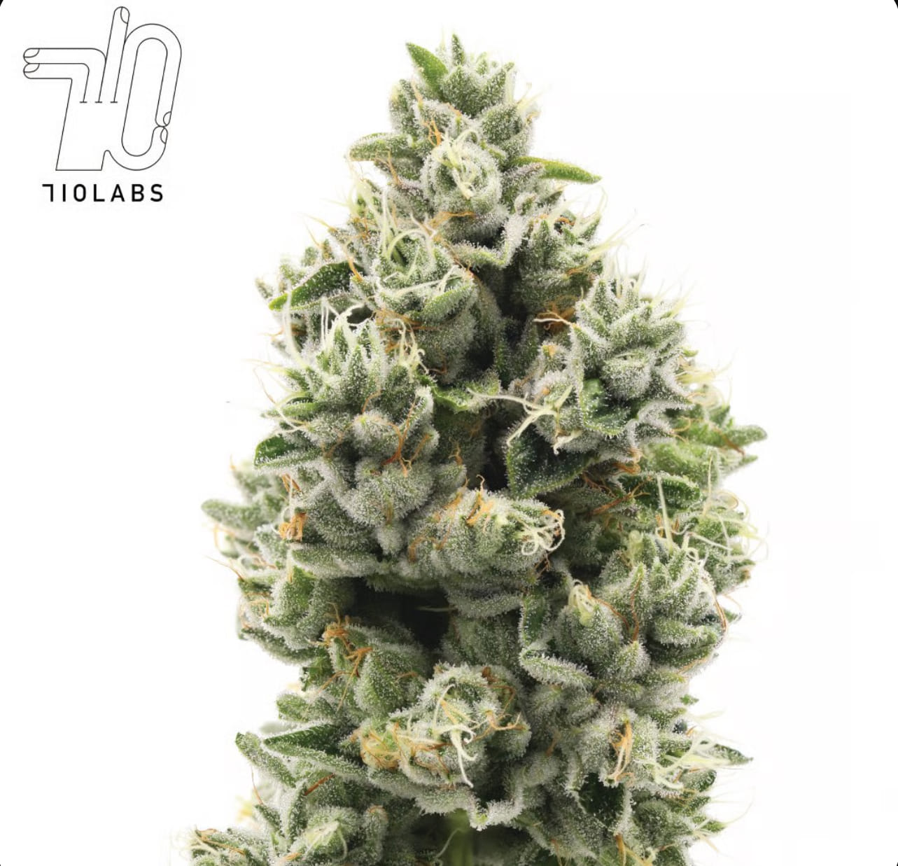 710 Labs: Hazel Nut Piff #8