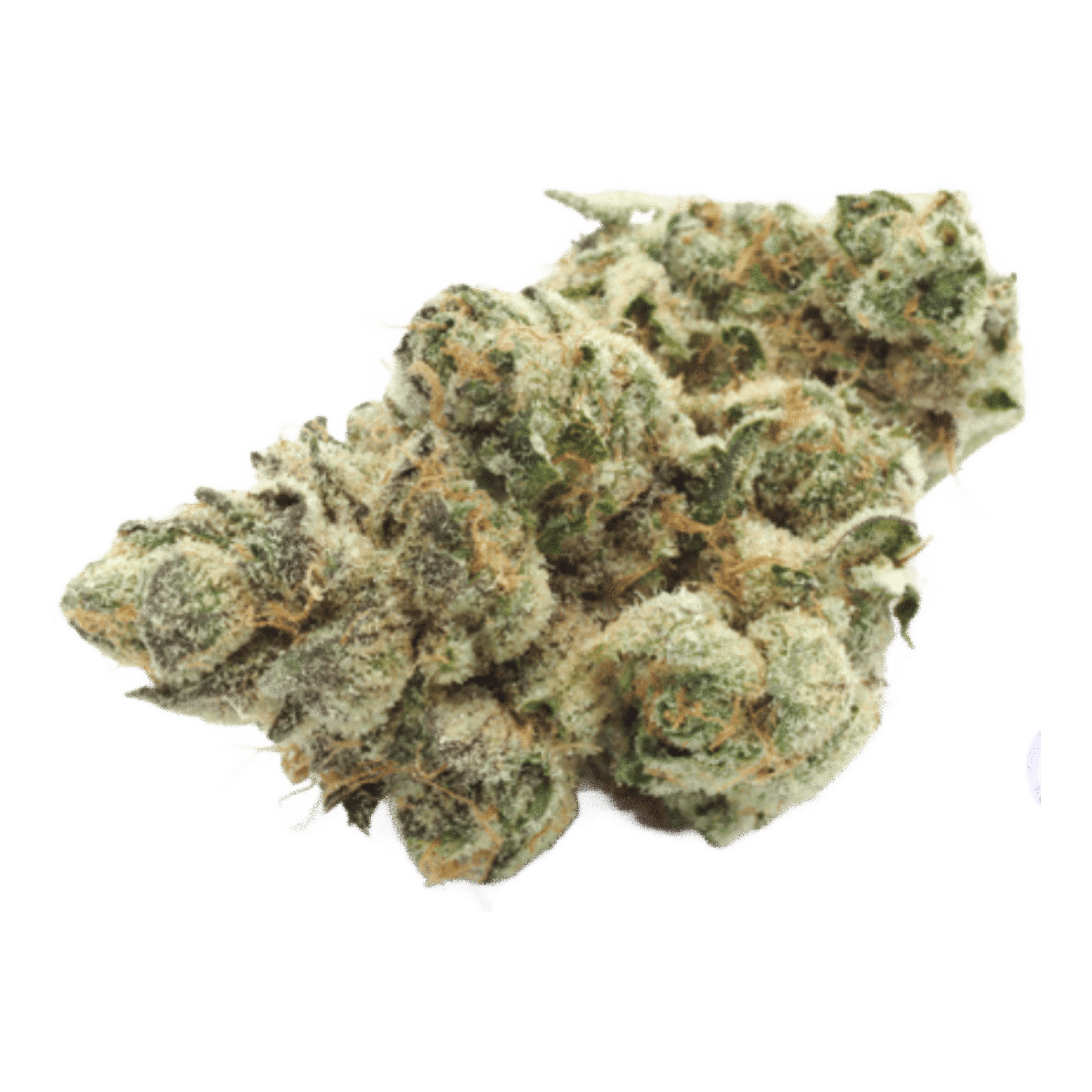 Zatomic - Flower - CBX Cannabiotix - Eighth - $54.99 - Flower