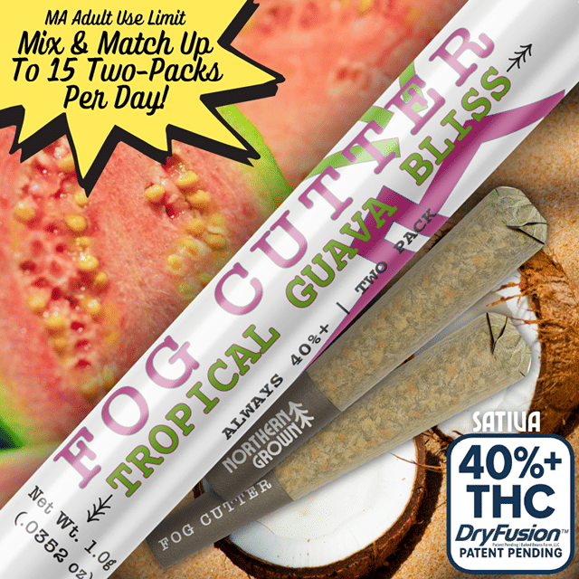 Tropical Guava Bliss | 2 Pack | Fog Cutter