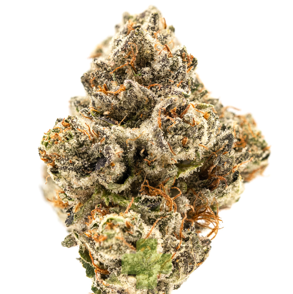 Alien Labs — Planetary OG