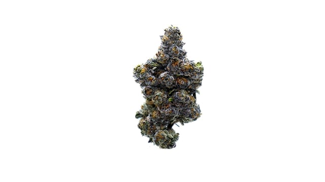 Gelato Mintz - Exotic Indoor Flower - 4g (JAR)