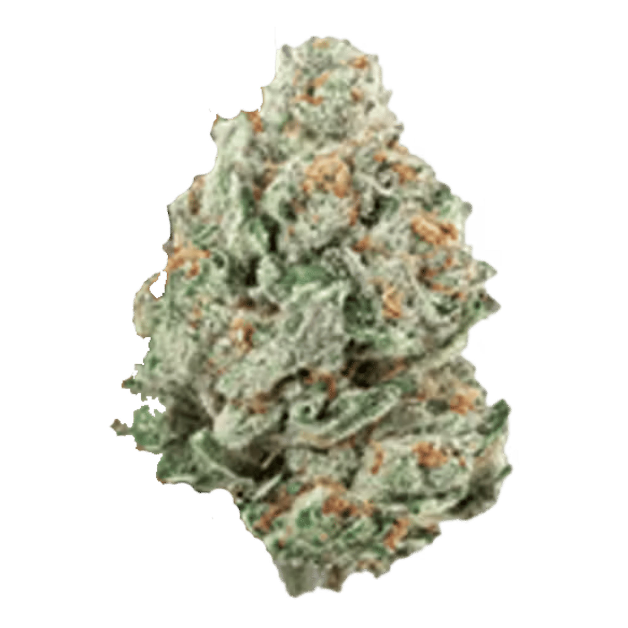 Lemon Cherry Gelato - Flower (Smalls) - Field Trip - 20g Smalls - $32.50 - 4mo+ Flower (Date in Description)