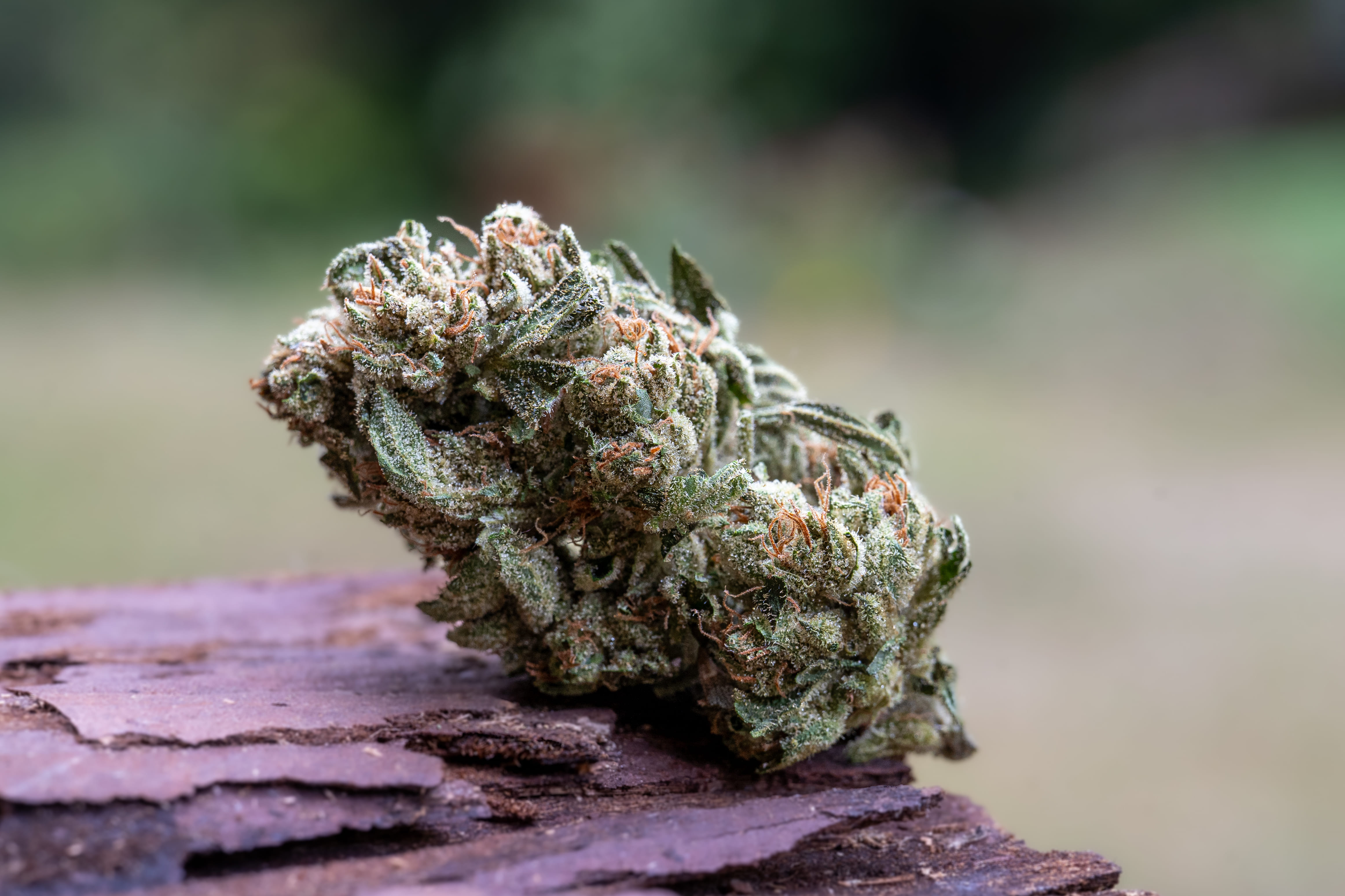 Chem D - Down Om Farms - eighth - $18 - Flowers