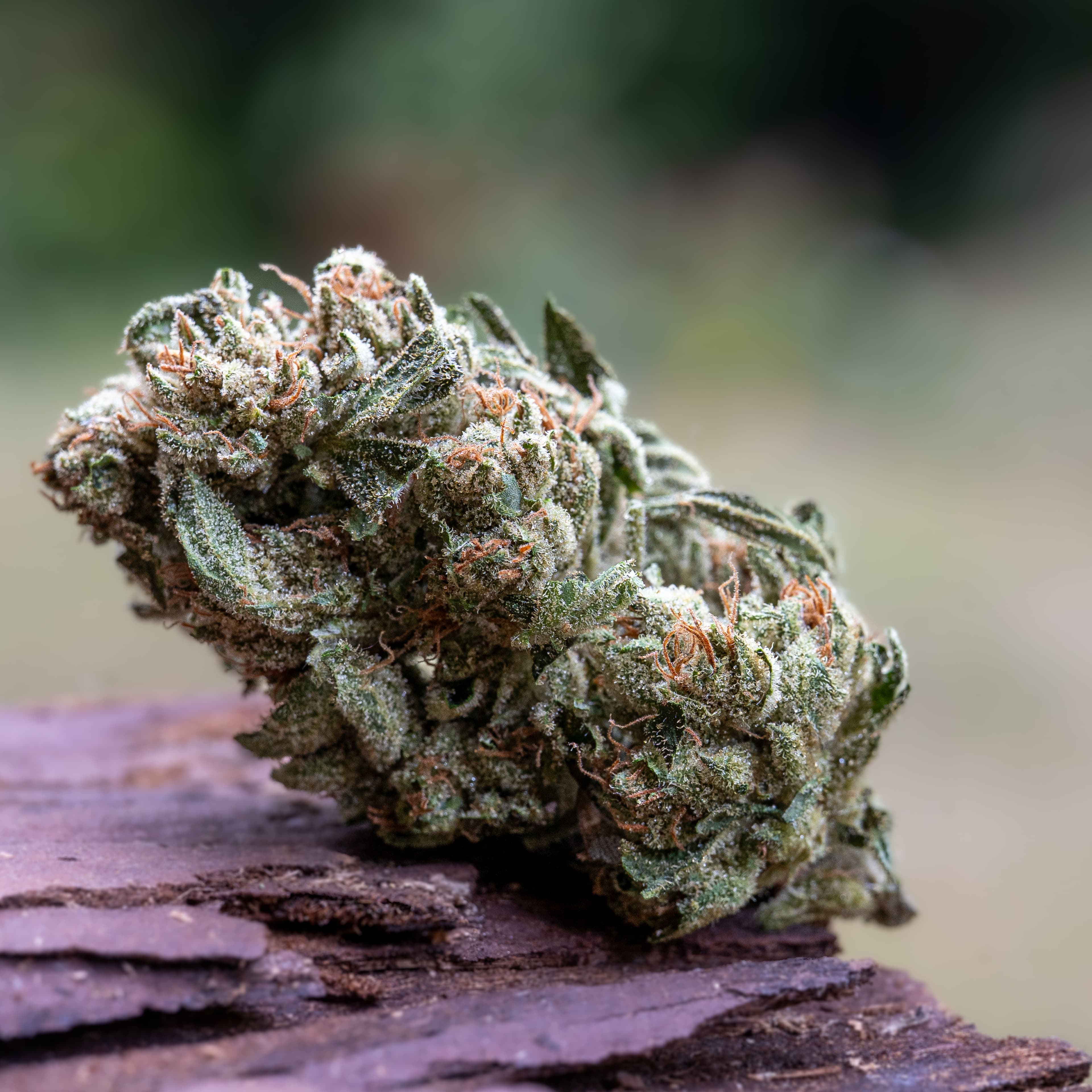 Chem D - Down Om Farms - eighth - $18 - Flowers