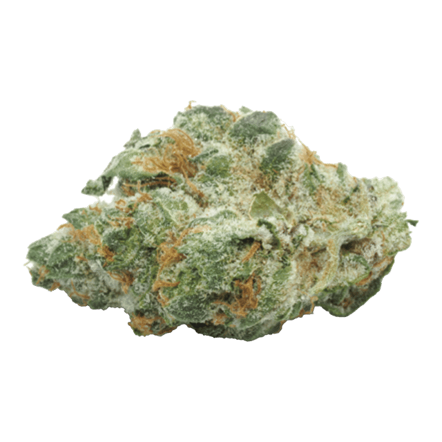 Strawberry Fields - Jar - Indoor Flower