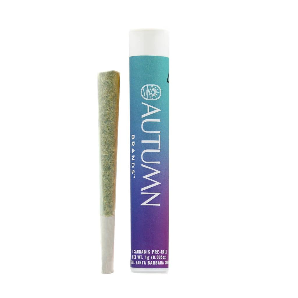 Autumn Brands: Sweet Lemon Gelato