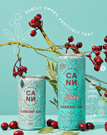 CANN Social Tonic 6pk - CANN - Grapefruit Rosemary 6pk - $32 - Edibles